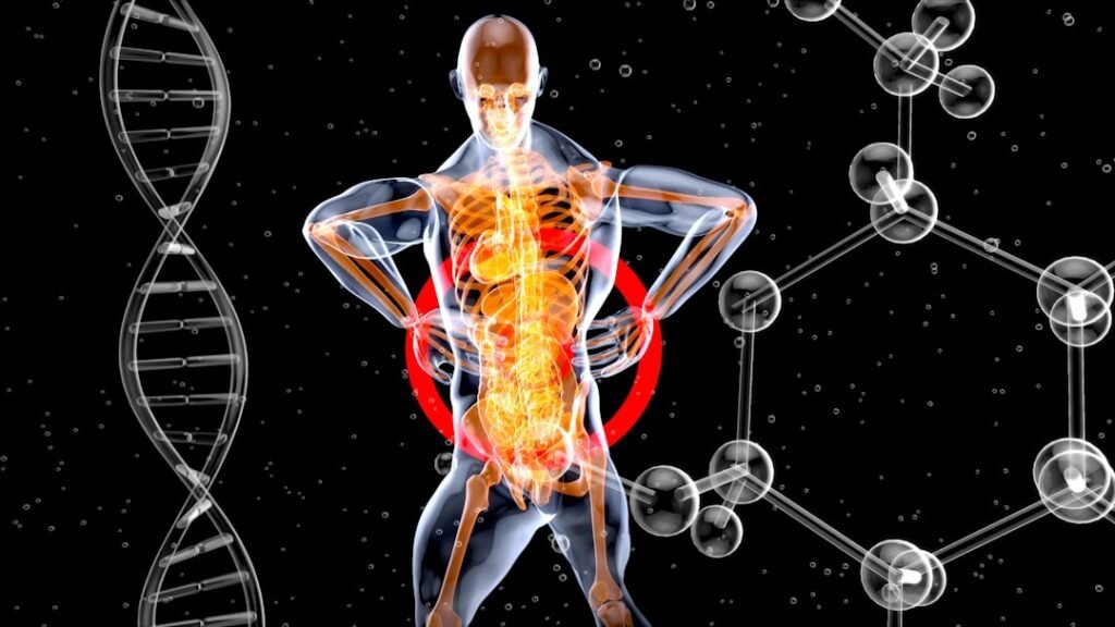 A sejtek energiatermelése NAD⁺ segítségével